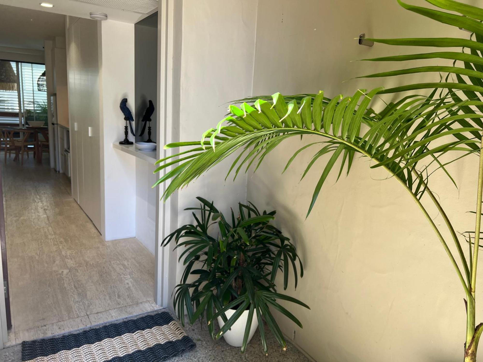 Carramah Noosa Heads Apartment المظهر الخارجي الصورة